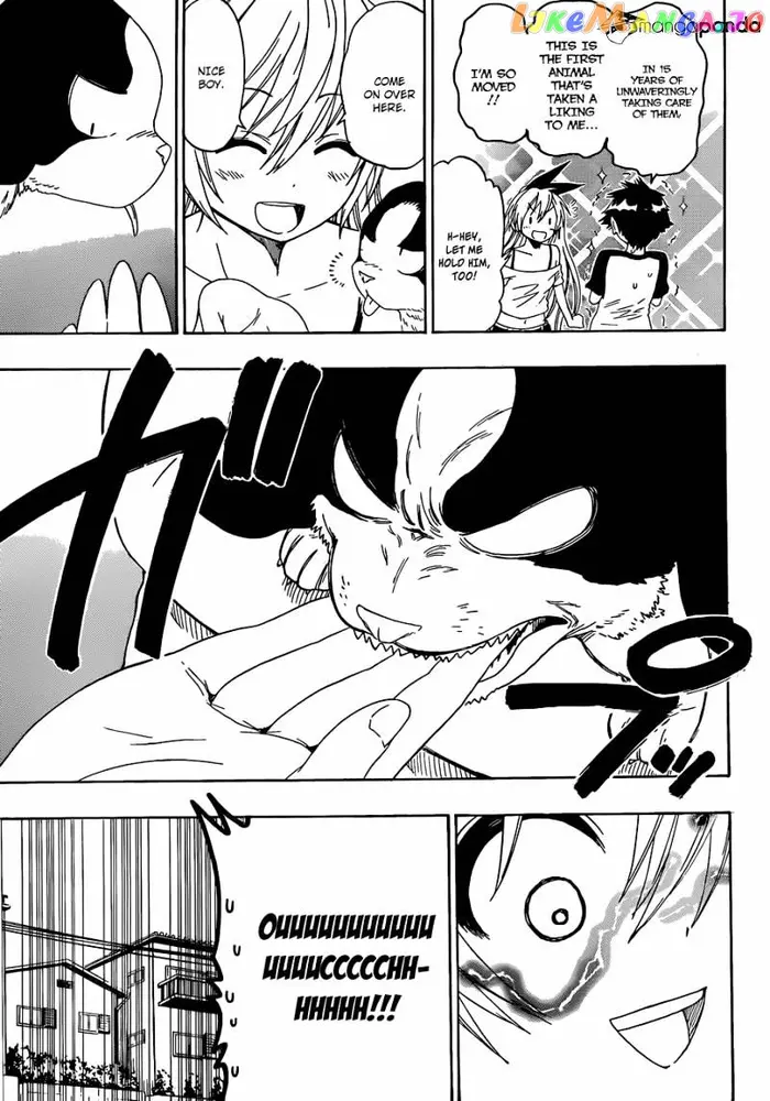 Nisekoi Chapter 41 image 06_optimized
